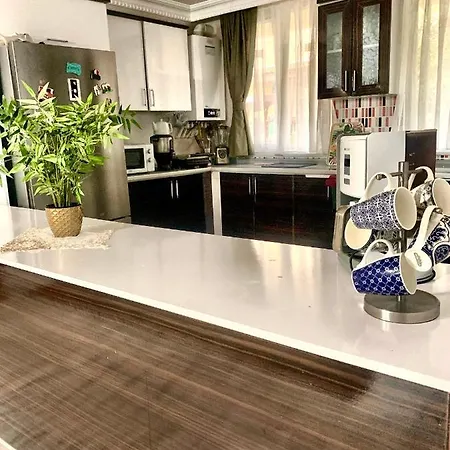 Orman Icinde Villa 2 فيلة Arnavutkoy