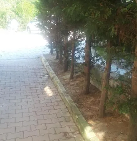 Orman Icinde Villa 2 Arnavutkoy