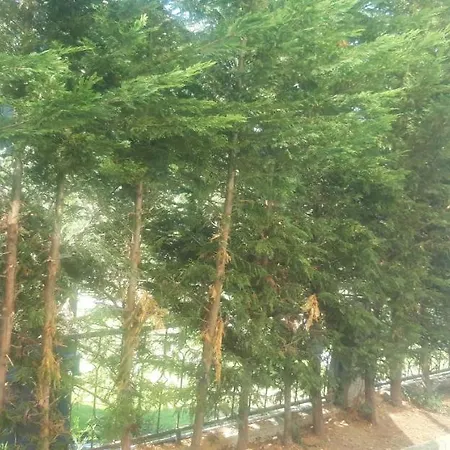 Orman Icinde Villa 2 فيلة